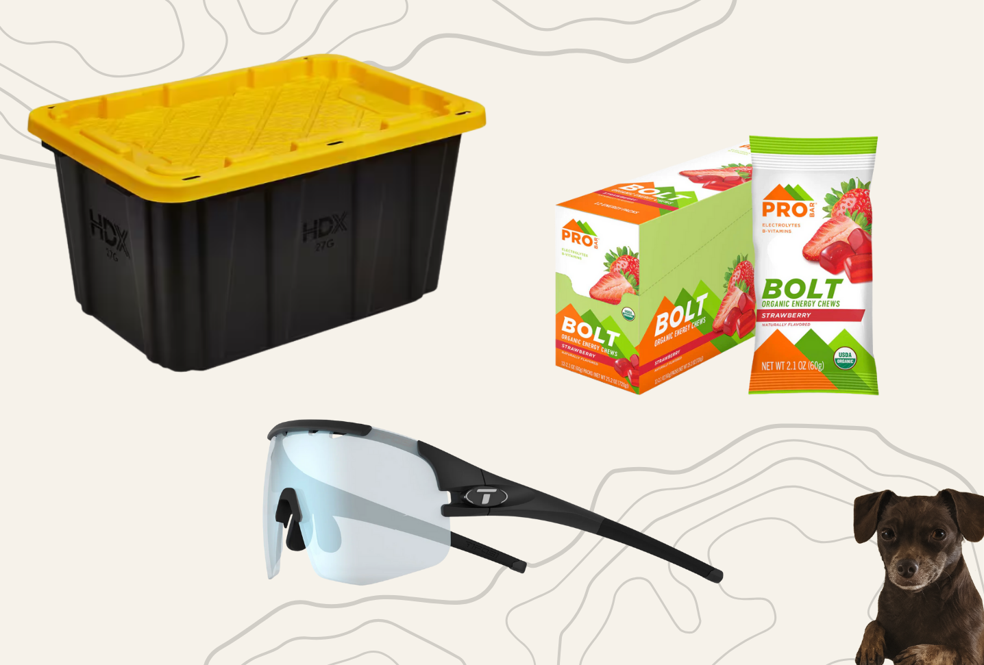 August Gear Favorites: Sunglasses, Snacks & Storage