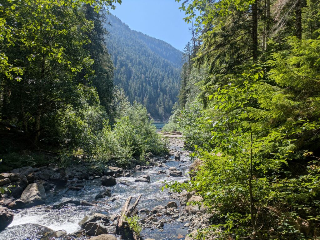 Creek in Washington
