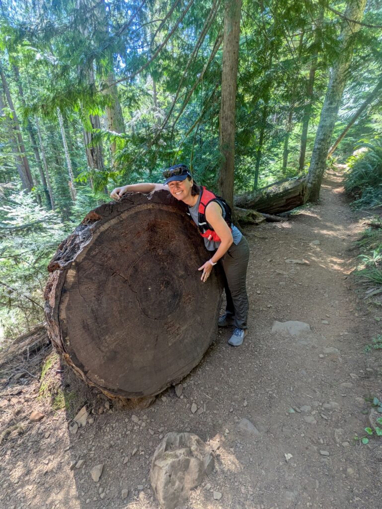 Woman with large tree stump