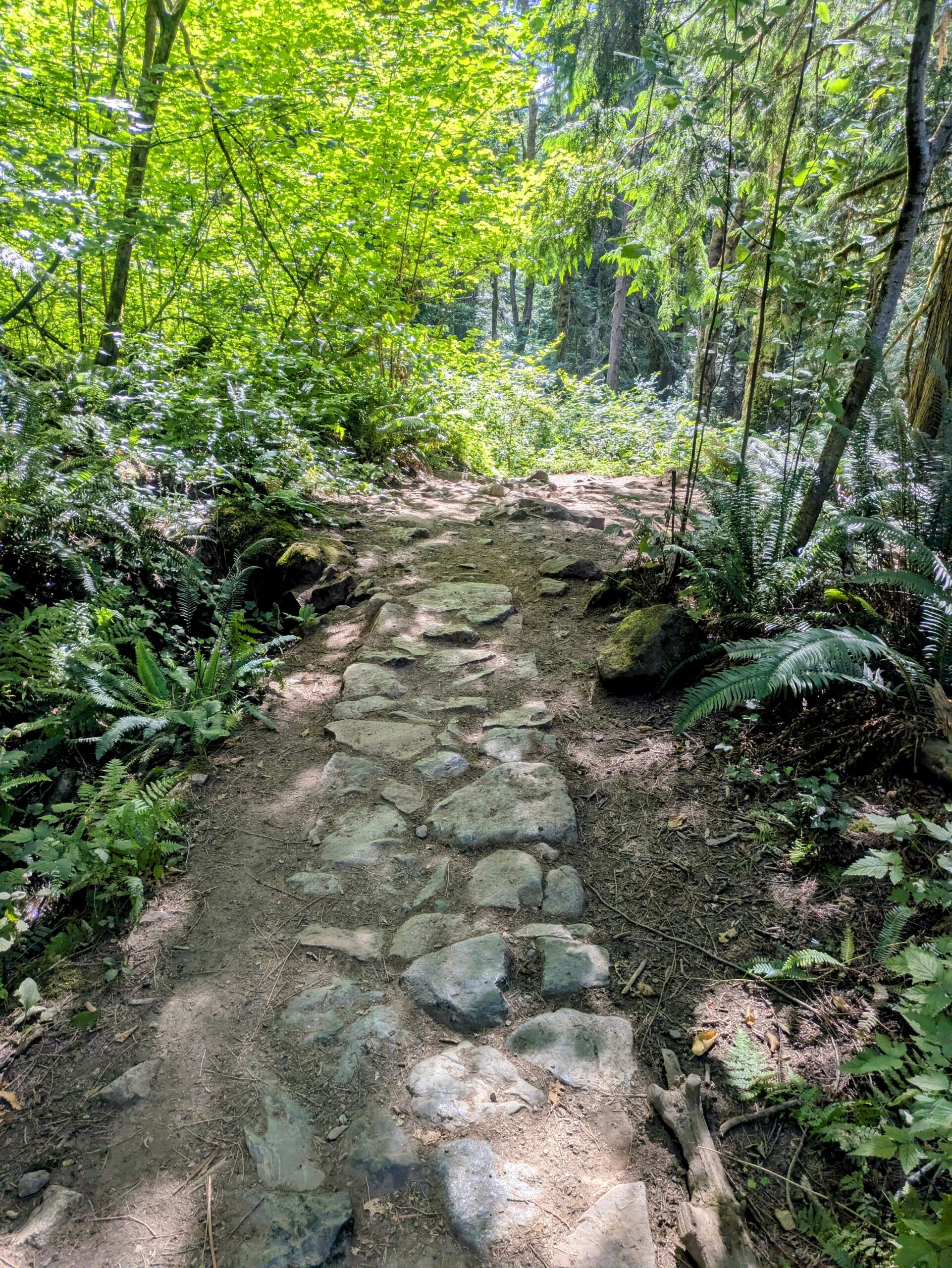 Mount Si Trail.