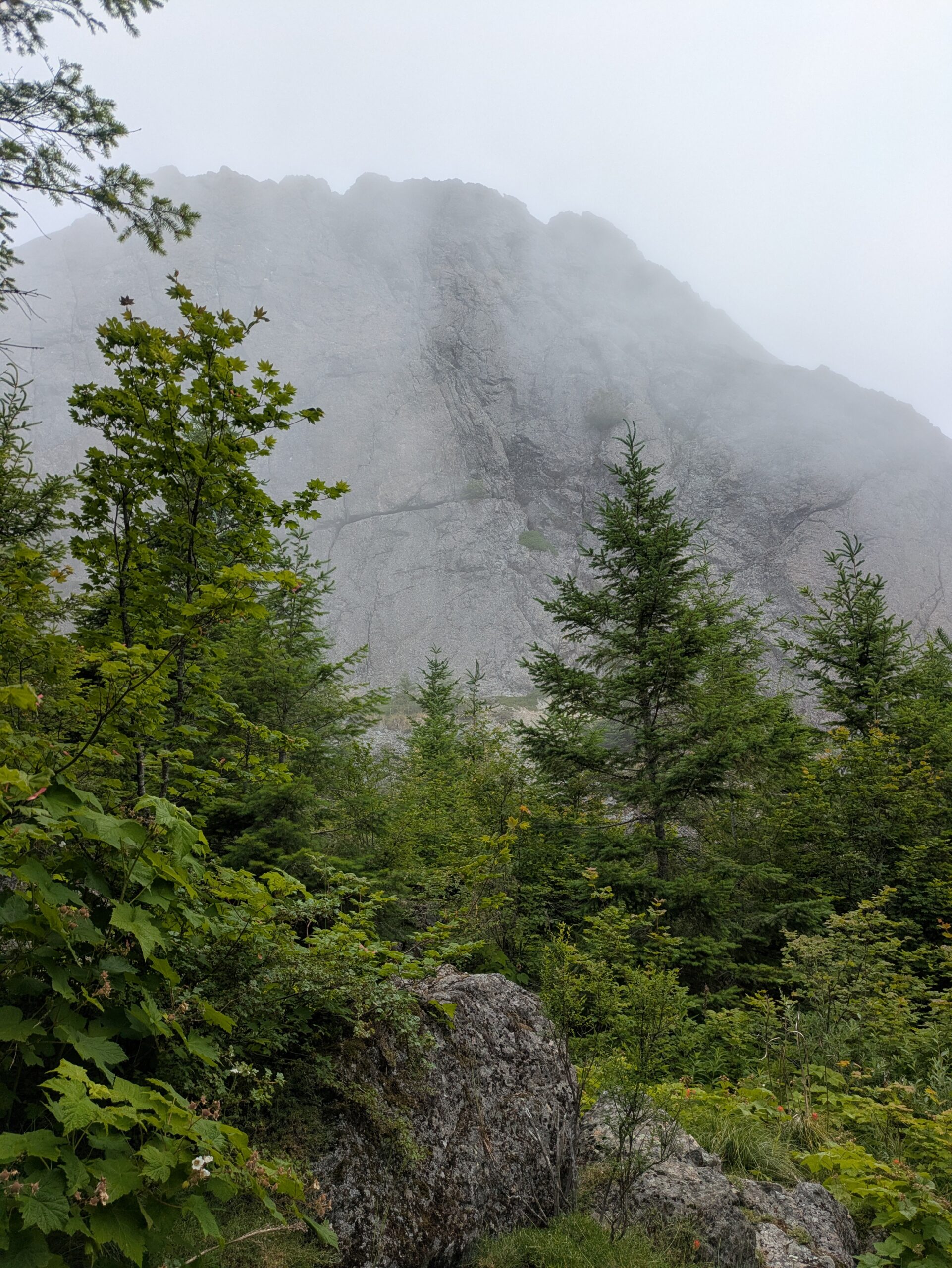 View of Mount Si summit from the trail.