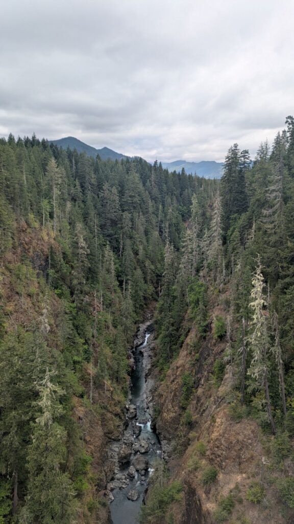 View from High Steel Bridge in Washington