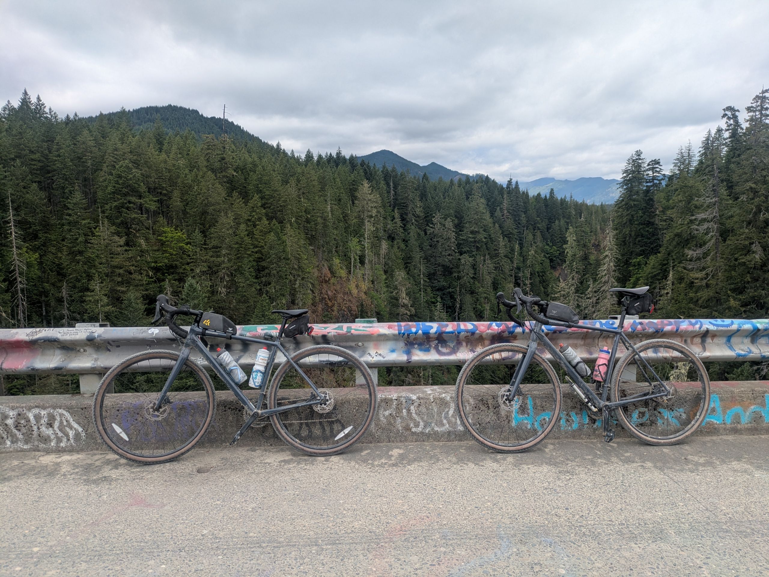 Olympic Bridges Overnighter: A Scenic Bikepacking Route in One Day