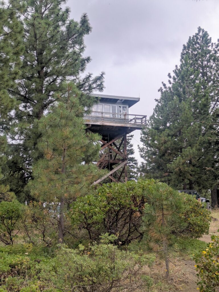 Lookout tower in Oregon forest