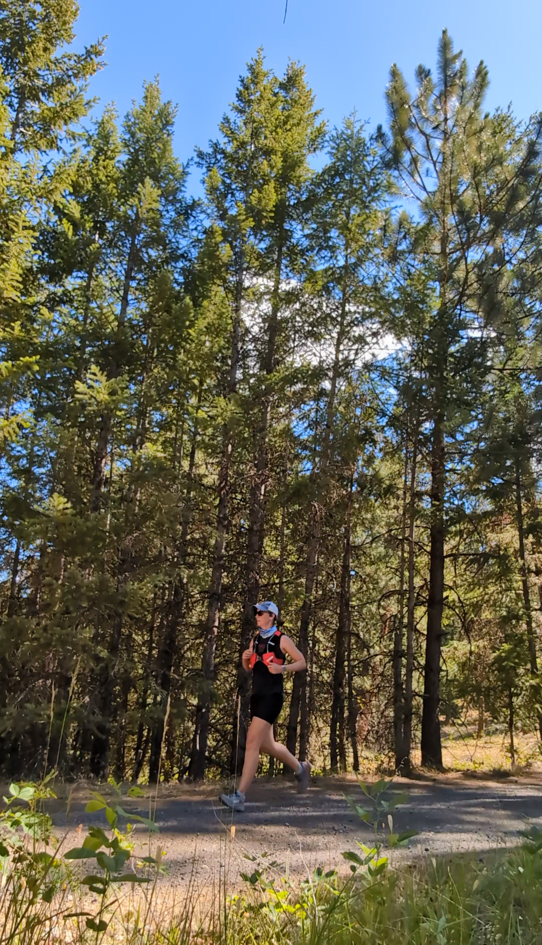 Woman trail runner on 4x4 trails in forest