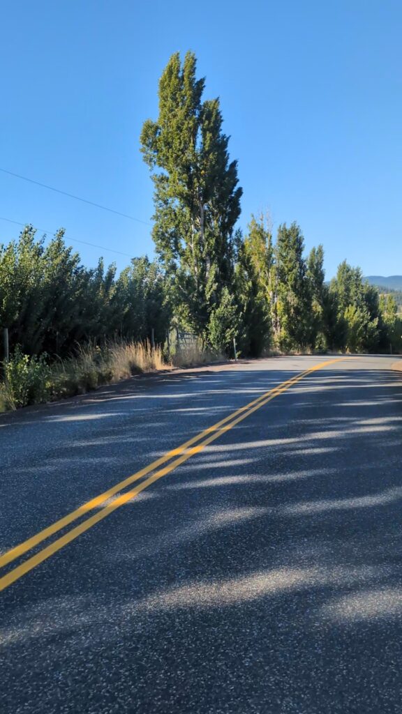 Road with trees in front