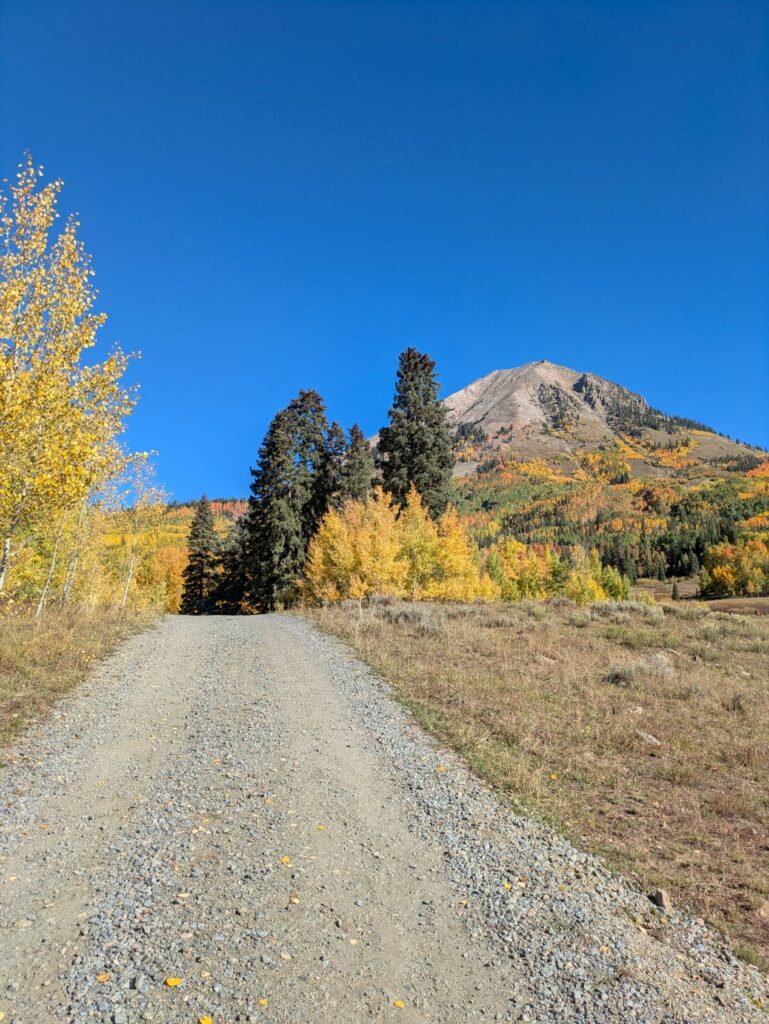Fall foliage on gravel road