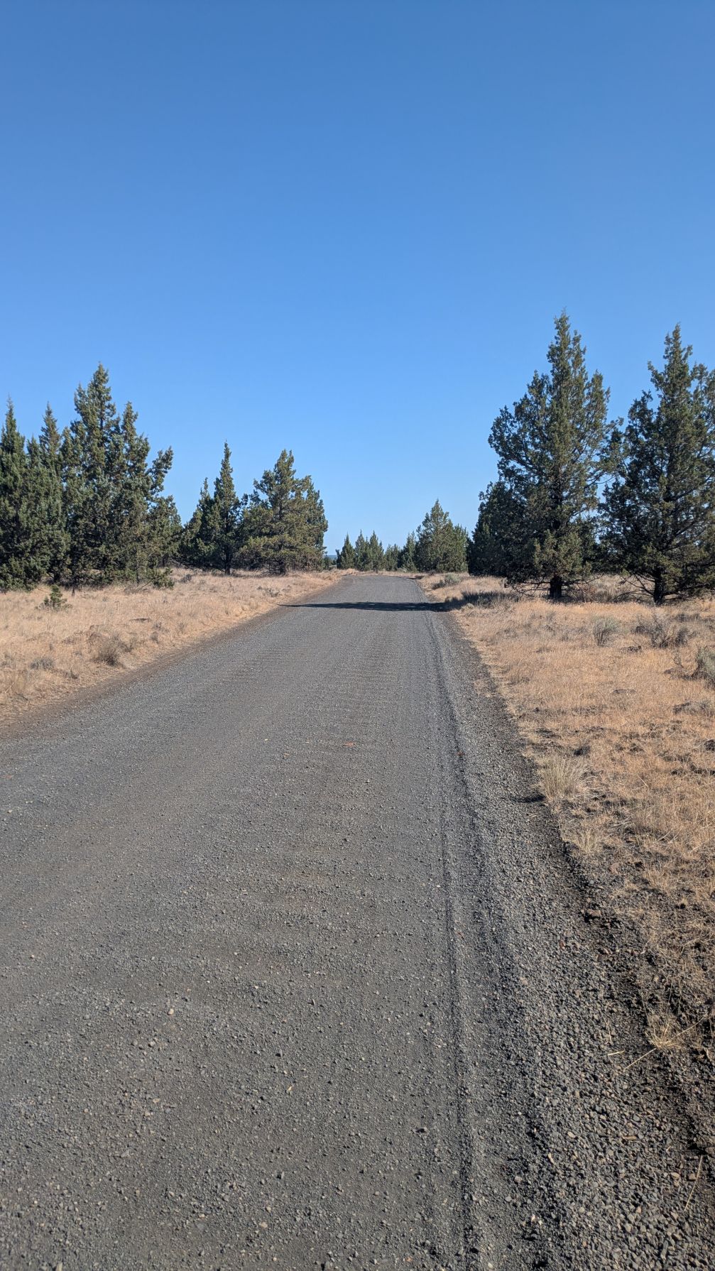 Gravel road in Sisters, OR