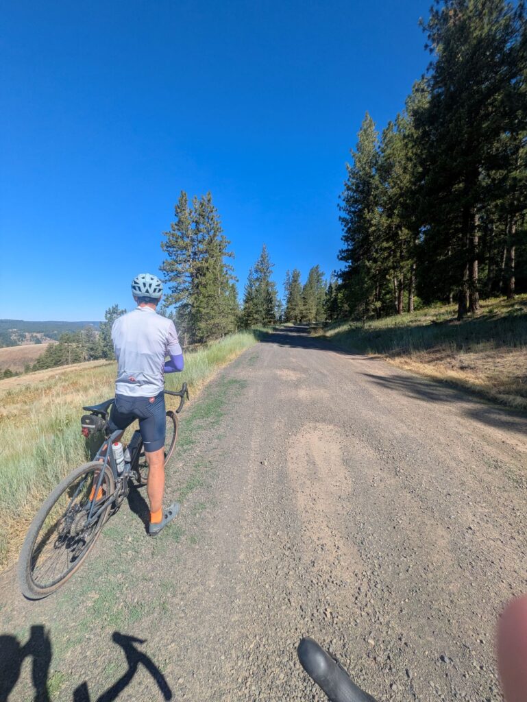 Gravel biking in national forest
