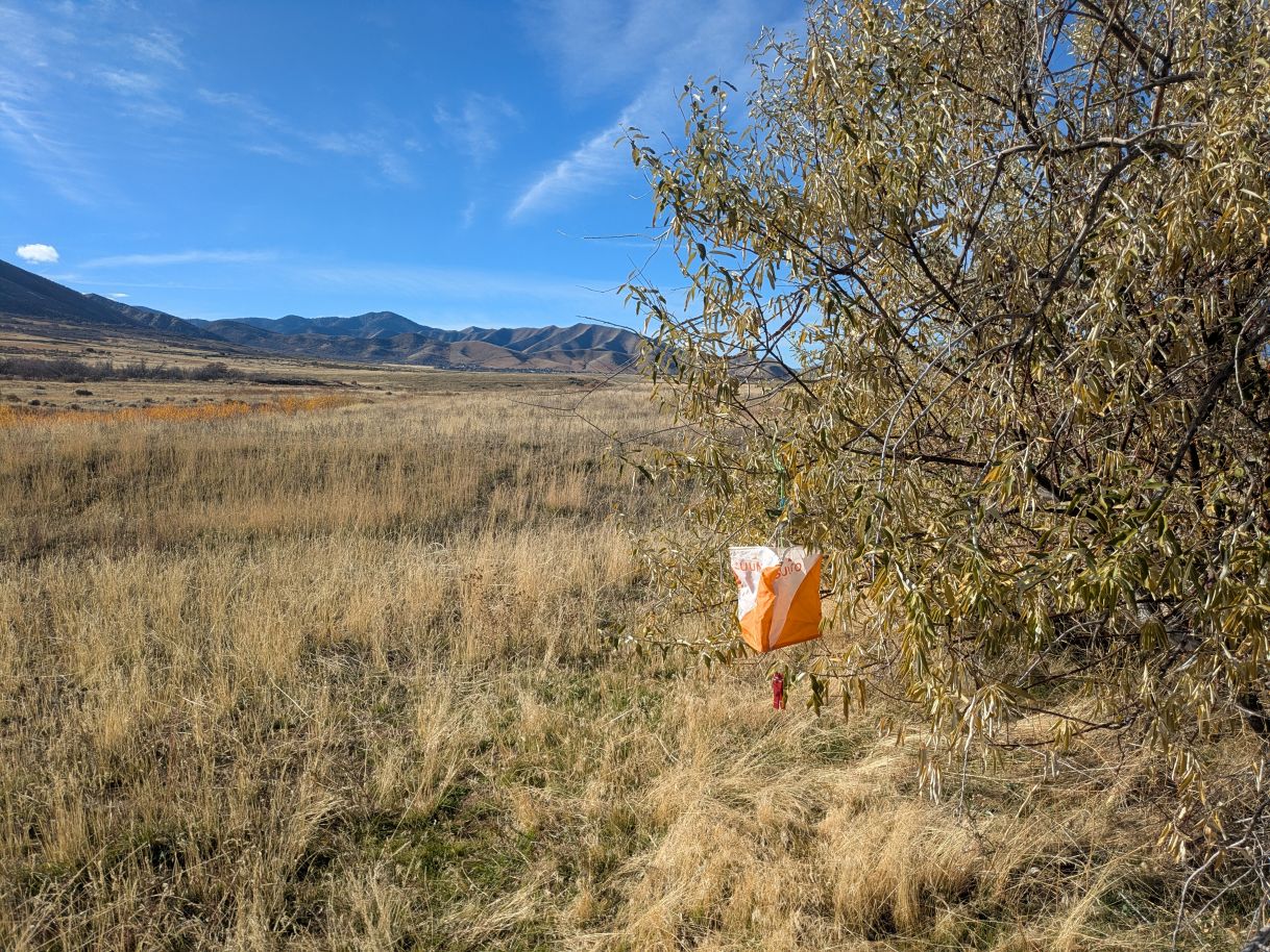 How I Learned Orienteering in the Pacific Northwest (And Why It Feels Like the Best Adult Scavenger Hunt)
